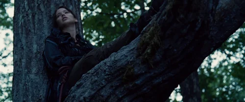 Still frame 78 from The Hunger Games (2012) directed by Gary Ross