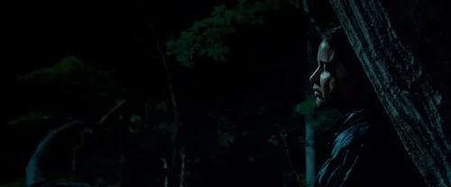 Still frame 80 from The Hunger Games (2012) directed by Gary Ross