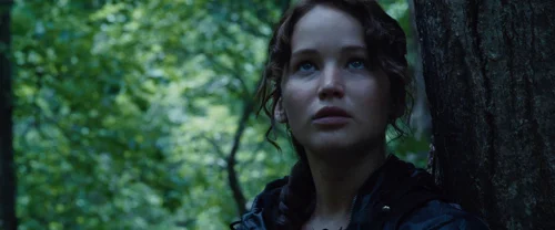 Still frame 87 from The Hunger Games (2012) directed by Gary Ross