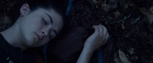 Still frame 88 from The Hunger Games (2012) directed by Gary Ross