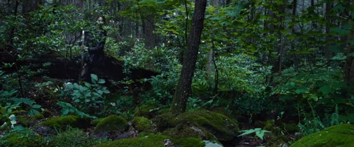 Still frame 91 from The Hunger Games (2012) directed by Gary Ross