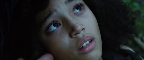 Still frame 97 from The Hunger Games (2012) directed by Gary Ross