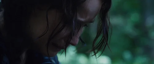 Still frame 95 from The Hunger Games (2012) directed by Gary Ross