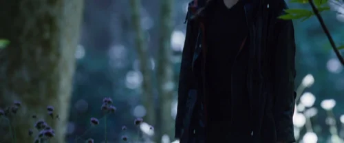 Still frame 96 from The Hunger Games (2012) directed by Gary Ross
