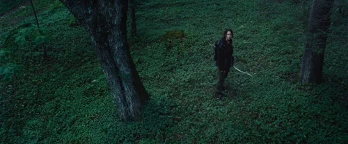 Still frame 98 from The Hunger Games (2012) directed by Gary Ross