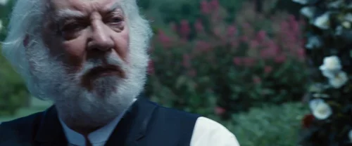 Still frame 99 from The Hunger Games (2012) directed by Gary Ross