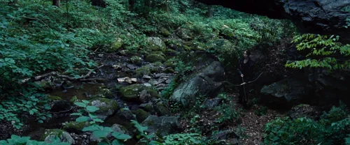 Still frame 102 from The Hunger Games (2012) directed by Gary Ross