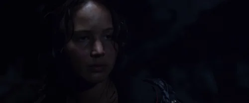 Still frame 108 from The Hunger Games (2012) directed by Gary Ross