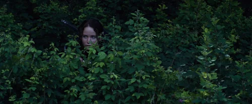 Still frame 109 from The Hunger Games (2012) directed by Gary Ross