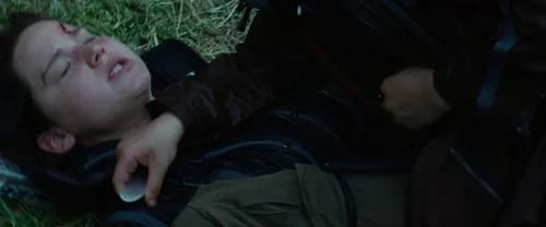 Still frame 110 from The Hunger Games (2012) directed by Gary Ross
