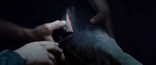 Still frame 113 from The Hunger Games (2012) directed by Gary Ross
