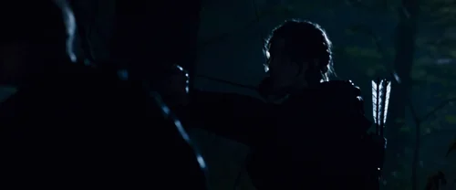 Still frame 115 from The Hunger Games (2012) directed by Gary Ross
