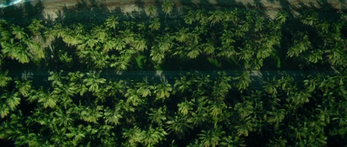 Still frame 80 from The Killer (2023) directed by David Fincher