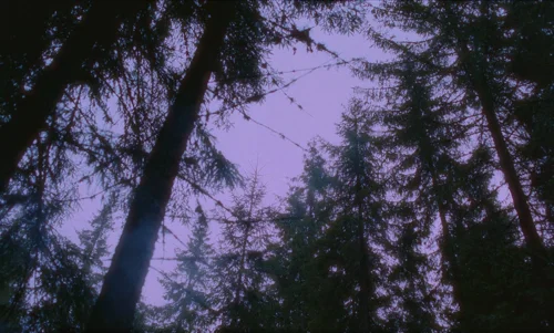 Still frame 74 from The Legend of Ochi (2025) directed by Isaiah Saxon