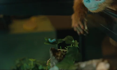 Still frame 99 from The Legend of Ochi (2025) directed by Isaiah Saxon