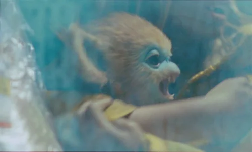 Still frame 132 from The Legend of Ochi (2025) directed by Isaiah Saxon