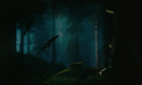 Still frame 18 from The Legend of Ochi (2025) directed by Isaiah Saxon
