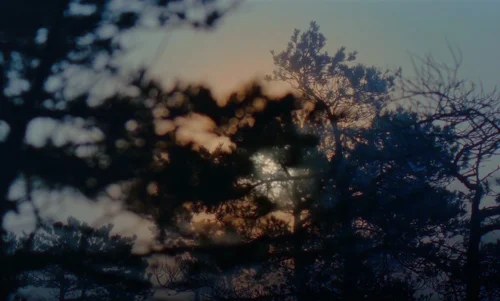 Still frame 220 from The Legend of Ochi (2025) directed by Isaiah Saxon