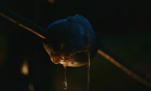 Still frame 226 from The Legend of Ochi (2025) directed by Isaiah Saxon