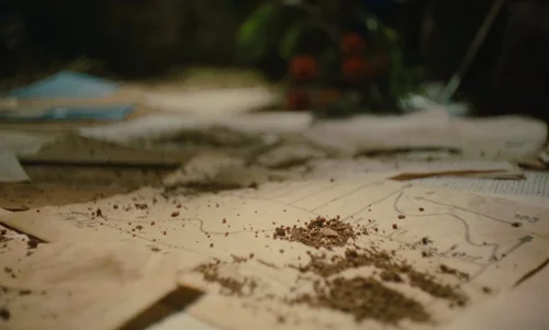Still frame 234 from The Legend of Ochi (2025) directed by Isaiah Saxon