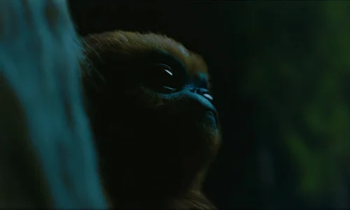 Still frame 24 from The Legend of Ochi (2025) directed by Isaiah Saxon