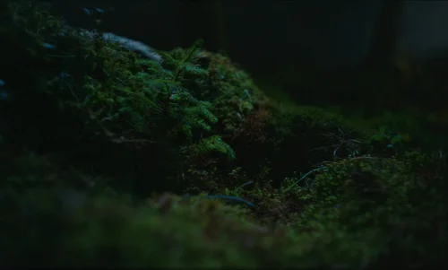 Still frame 25 from The Legend of Ochi (2025) directed by Isaiah Saxon