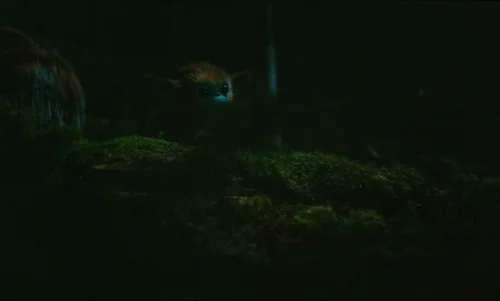 Still frame 26 from The Legend of Ochi (2025) directed by Isaiah Saxon