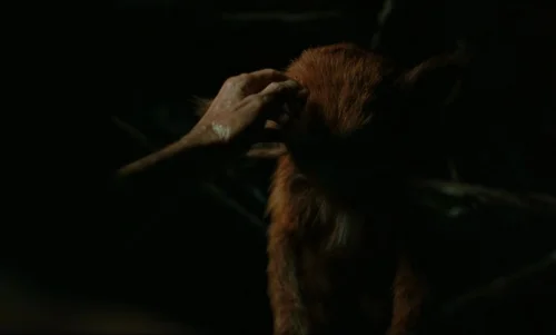Still frame 281 from The Legend of Ochi (2025) directed by Isaiah Saxon