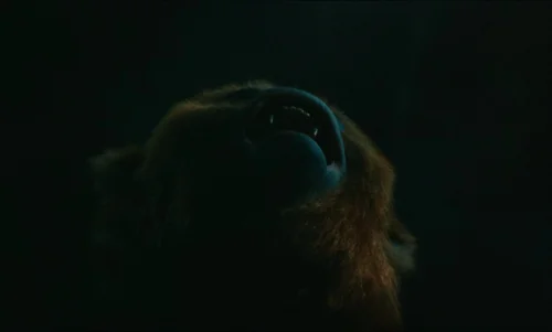 Still frame 27 from The Legend of Ochi (2025) directed by Isaiah Saxon