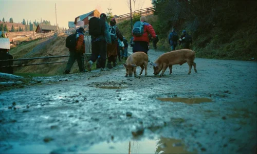 Still frame 41 from The Legend of Ochi (2025) directed by Isaiah Saxon