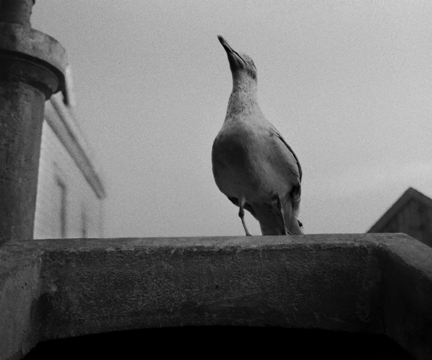 Still frame 89 from The Lighthouse (2019) directed by Robert Eggers