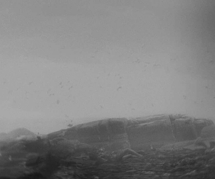 Still frame 214 from The Lighthouse (2019) directed by Robert Eggers