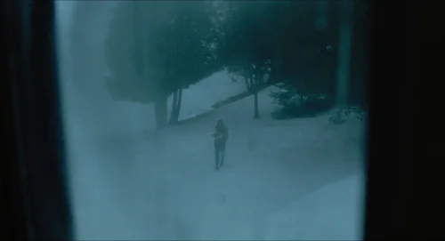 Still frame 52 from The Lodge (2019) directed by Severin Fiala, Veronika Franz