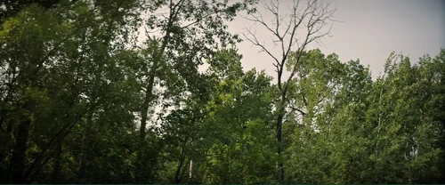 Still frame 31 from The Long Walk (2025) directed by Francis Lawrence