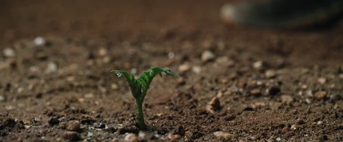 Still frame 66 from The Martian (2015) directed by Ridley Scott