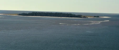 Still frame 6 from The Menu (2022) directed by Mark Mylod