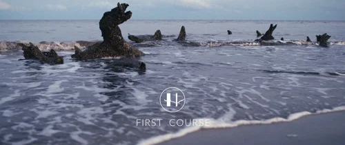 Still frame 27 from The Menu (2022) directed by Mark Mylod