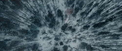 Still frame 56 from The Pale Blue Eye (2022) directed by Scott Cooper