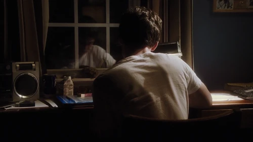 The Perks of Being a Wallflower