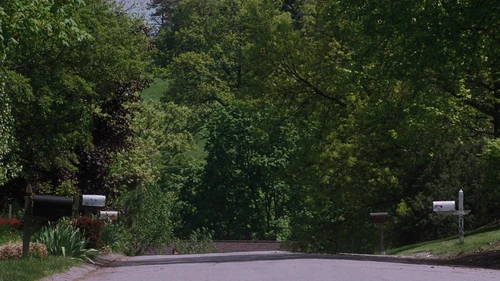 Still frame 196 from The Perks of Being a Wallflower (2012) directed by Stephen Chbosky