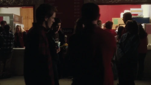 The Perks of Being a Wallflower