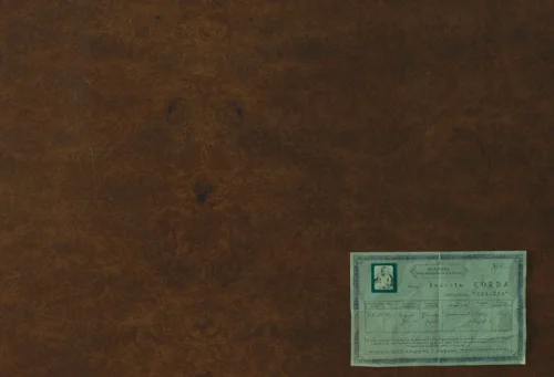 Still frame 376 from The Phoenician Scheme (2025) directed by Wes Anderson