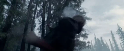 Still frame 11 from The Revenant (2015) directed by Alejandro G. Iñárritu
