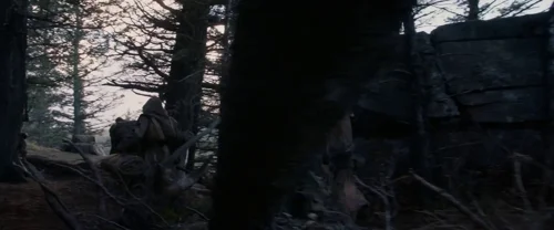 Still frame 19 from The Revenant (2015) directed by Alejandro G. Iñárritu