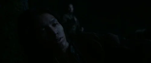 Still frame 22 from The Revenant (2015) directed by Alejandro G. Iñárritu
