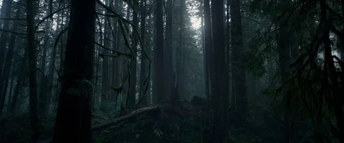 Still frame 27 from The Revenant (2015) directed by Alejandro G. Iñárritu