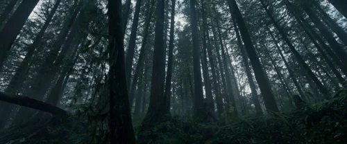 Still frame 28 from The Revenant (2015) directed by Alejandro G. Iñárritu