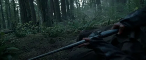 Still frame 32 from The Revenant (2015) directed by Alejandro G. Iñárritu