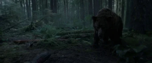 Still frame 33 from The Revenant (2015) directed by Alejandro G. Iñárritu