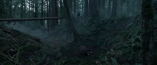Still frame 35 from The Revenant (2015) directed by Alejandro G. Iñárritu